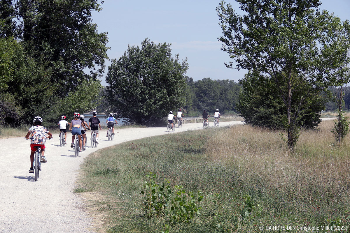 Les paysages du Rhône à vélo, les lônes