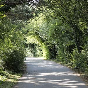 Circuit VTT n°1 : Le Morlet