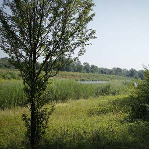 Circuit VTT n°4 : La Forestière