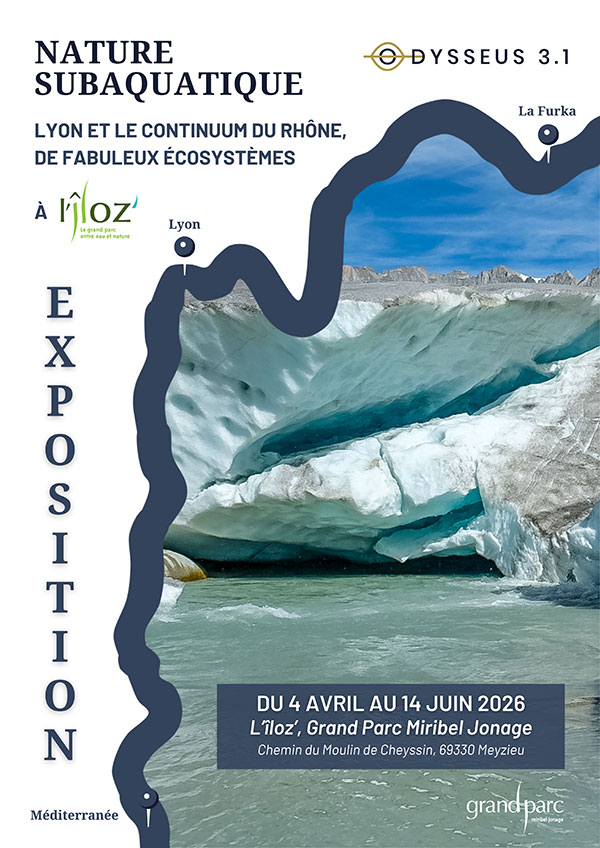 Nature subaquatique : Lyon et le continuum du Rhône, de fabuleux écosystèmes