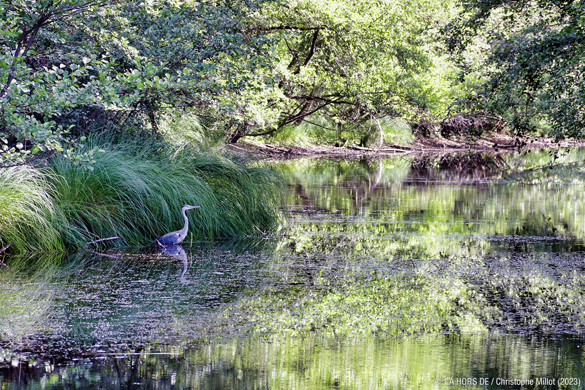 Les plumes pour les tout petits
