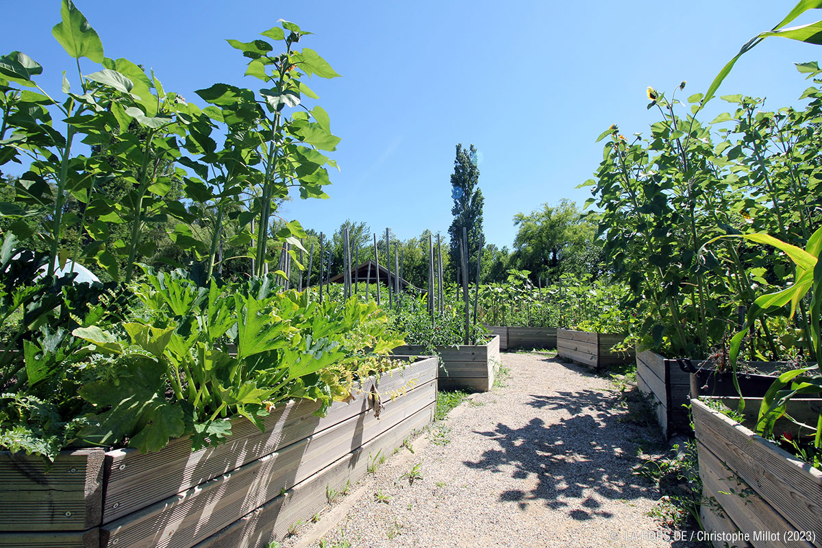 La p'tite cuisine de Camille : Plantes et légumes du potager (été / automne)