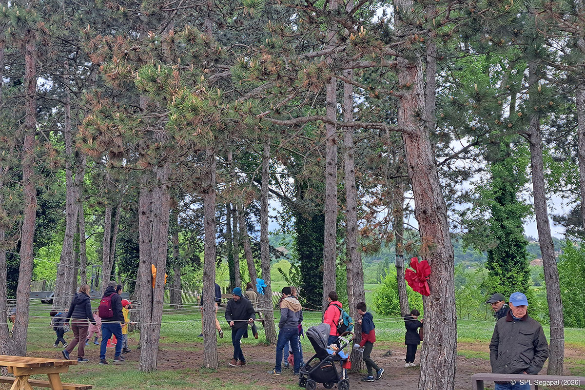 Chasse aux œufs 2026