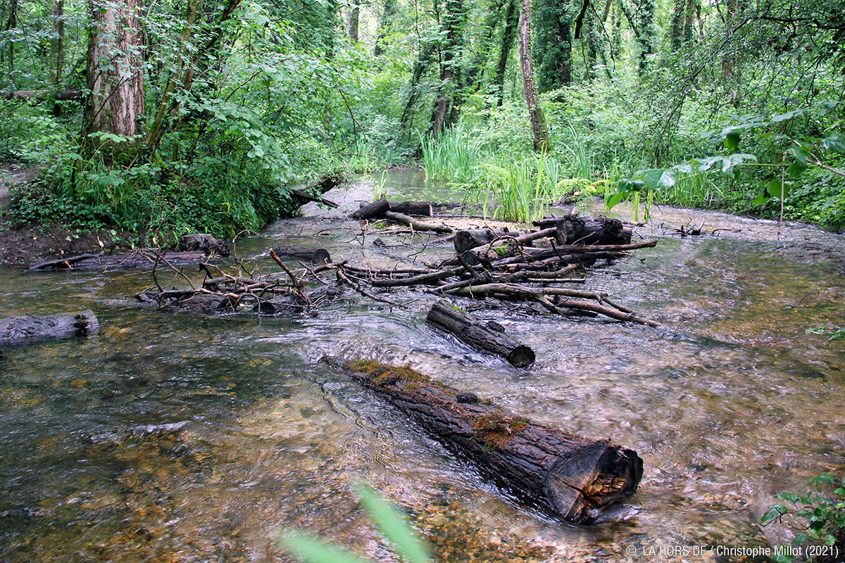 Chargé·e de mission Milieux naturels (H/F)