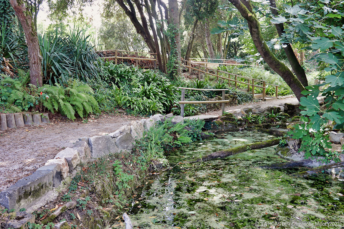 Visite de L'îloz' Thème « Refuge de biodiversité »